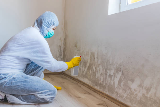 Licensed Bathroom Mold Removal service in Springfield, VA - Mold Remediation HQ