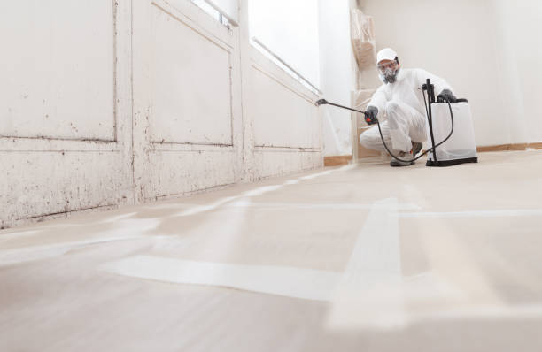 24/7 Emergency Bathroom Mold Removal experts in Springfield, VA