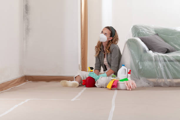 Reliable Bathroom Mold Removal contractor in Springfield, VA by Mold Remediation HQ
